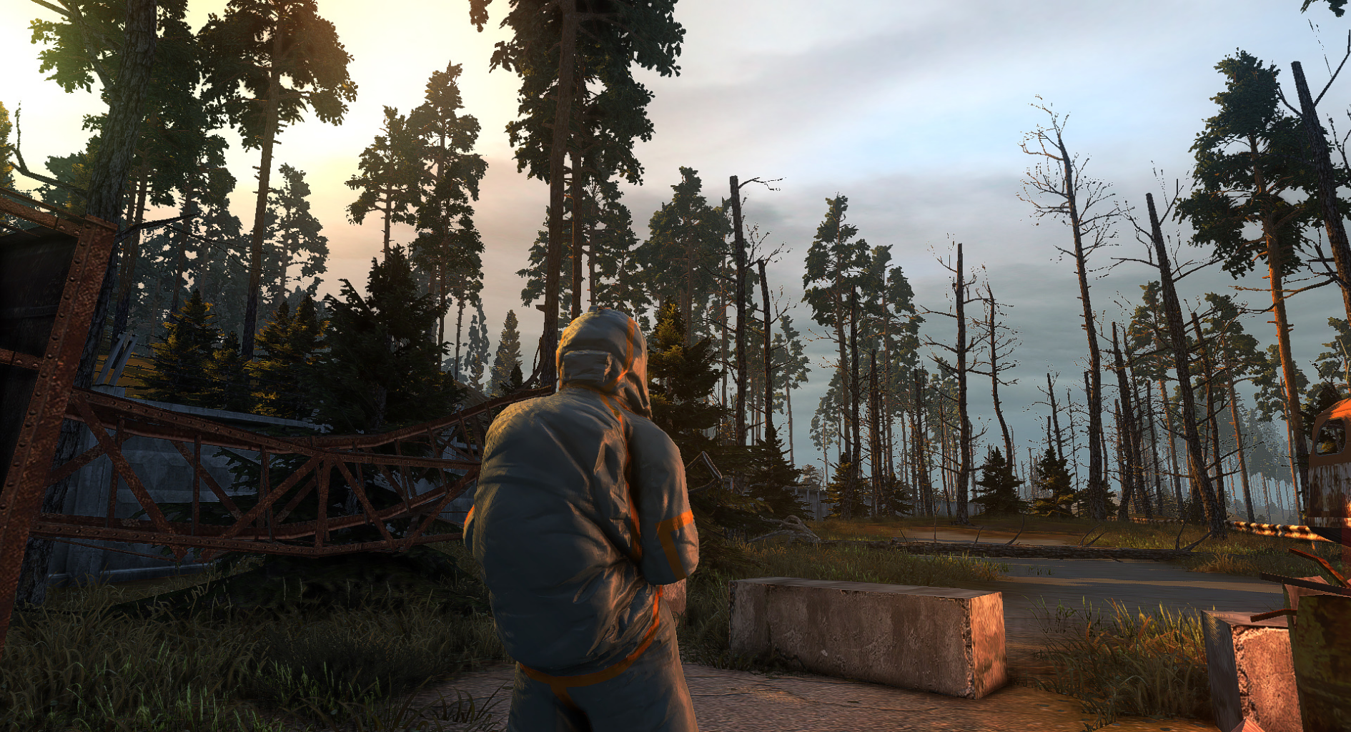 preview image (no video)
